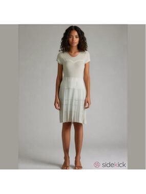 BCBG Max Azria Crochet Short Sleeve Midi Dress Small